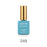 Apres Gel Couleur Bundle, 15ml, (From C201 To C364), #249