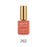 Apres Gel Couleur Bundle, 15ml, (From C201 To C364), #262