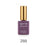 Apres Gel Couleur Bundle, 15ml, (From C201 To C364), #288