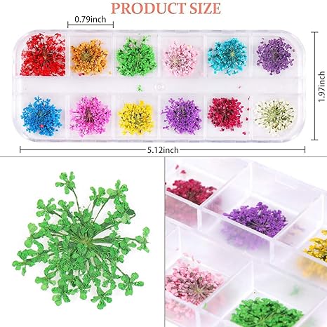 Airtouch Nature Dried Flower, Full Line Of 12 Designs (From 01 To 12) OK0902VD