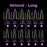 Cre8tion Special Shape Tips Clear (12 Sizes) - ALMOND Long, BOX (Pk: 504 pcs/box, 50 boxes/case)