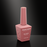Chaun Legend Gel VOL 1 Collection (80 colors) - 5069 - Soft Touch