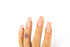 NotPolish Gel Polish and Nail Lacquer, OG Collection, 147, Sunset Glow, 0.5oz