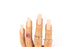 NotPolish Gel Polish and Nail Lacquer, OG Collection, 204, SPRING AFFAIR, 0.5oz