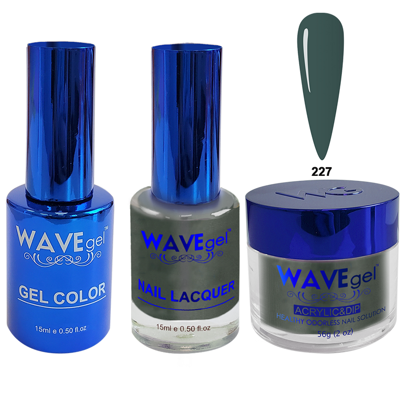 Wave Gel 4in1 Acrylic + Dip Powder + Gel Polish + Lacquer, Royal Collection, Winter Holiday, WR227, Abyss