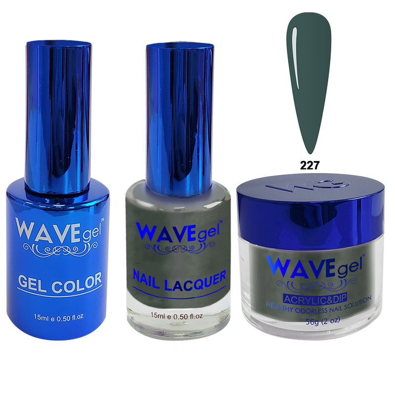 Wave Gel 4in1 Acrylic + Dip Powder + Gel Polish + Lacquer, Winter Holiday, WR227, Abyss
