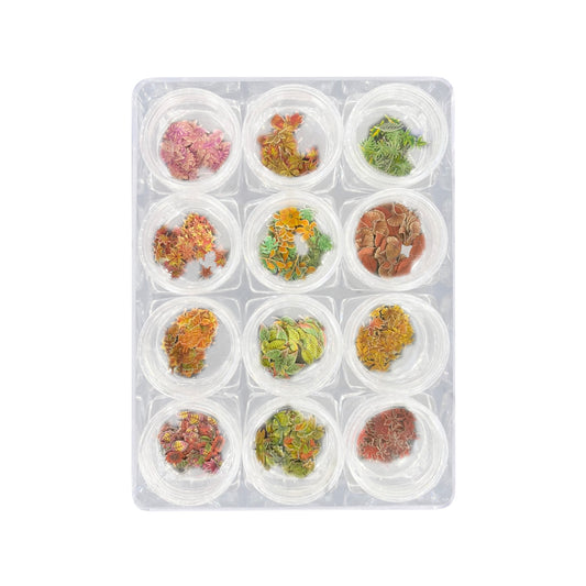 Airtouch Nail Art Paper, Autum Leaf Collection Set #04, 12 jars/box OK1011LK