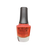 Morgan Taylor, 50025, Color Me Bold, 0.5oz OK0709VD