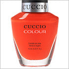 Cuccio Nail Lacquer, NL6019, Shaking My Morocco, 0.43oz