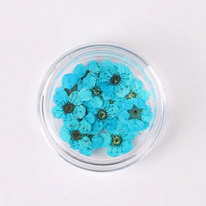 Airtouch Nature Dried Flower, 01, Aqua Blue, 20pcs/jar OK0820VD
