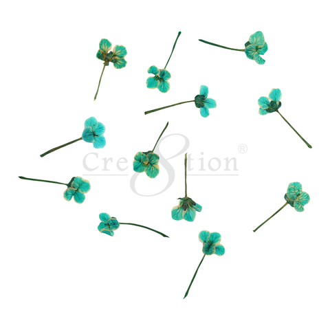 Cre8tion Nail Art Charms, Teal, B061