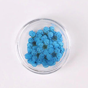 Airtouch Nature Dried Flower, 02, Blue, 20pcs/jar OK0820VD
