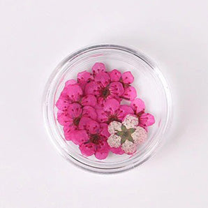 Airtouch Nature Dried Flower, 03, Dark Pink, 20pcs/jar OK0820VD