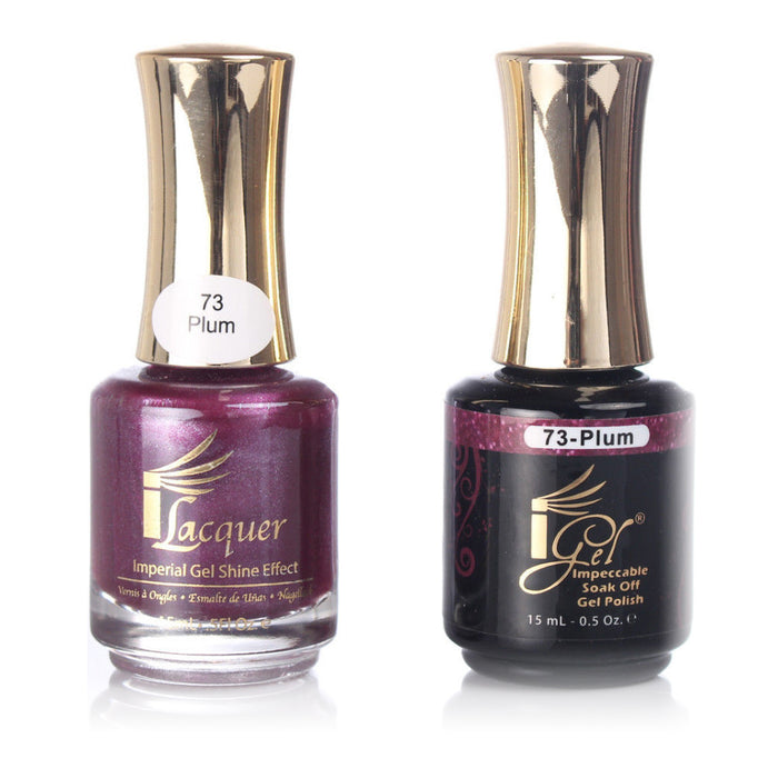 iGel Nail Lacquer + Gel Polish, 073, Plum, 0.5oz KK1003