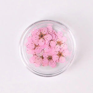 Airtouch Nature Dried Flower, 05, Light Pink, 20pcs/jar OK0820VD
