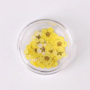 Airtouch Nature Dried Flower, 06, Light Yellow, 20pcs/jar OK0820VD