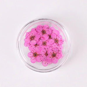 Airtouch Nature Dried Flower, 07, Medium Pink, 20pcs/jar OK0820VD