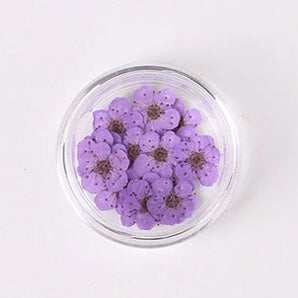 Airtouch Nature Dried Flower, 09, Purple, 20pcs/jar OK0820VD