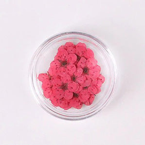Airtouch Nature Dried Flower, 10, Red, 20pcs/jar OK0820VD