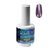 Wave Gel Star Ocean Gel Polish, 06, Aurelius, 0.5oz OK1129