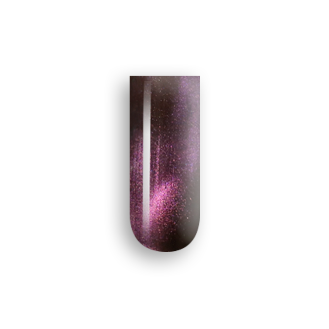 iGel 3D Top Cat Eye Gel Polish, TCE20, Persian, 0.5oz KK1003
