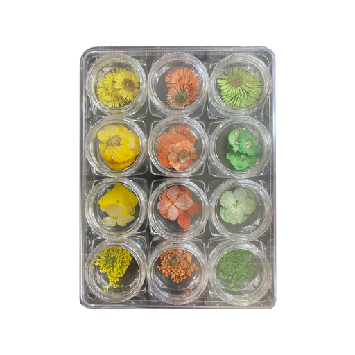 Airtouch Nail Art Dried , Flower Collection Set #02, 12 jars/box OK0827LK